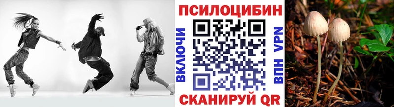 Псилоцибиновые грибы MAGIC MUSHROOMS Приозерск